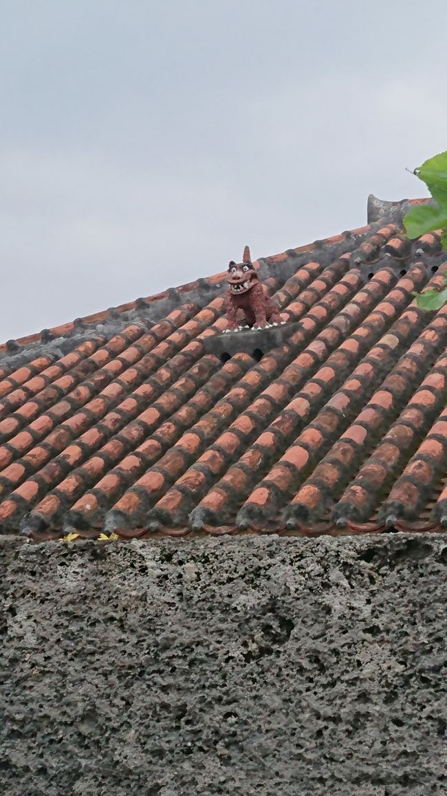 シーサー可愛い★☆<br /><br />結局、自転車に疲れはてて早々に石垣島へ帰ることに(^^;<br /><br />今日も結局、お昼を2回食べるわ、昼からビールだし、お腹がすきません。<br />でも、石垣島最後の夜なので、せっかくだし食べに行こう～!!っと、うさぎやさんの新館へ。<br />18時半頃だけど、予約なしでは入れませんでした(T-T)残念。<br />近くの居酒屋、島の食べものや  南風へ。<br />何とかカウンターに座ることが出来た(^-^)vﾎｯ