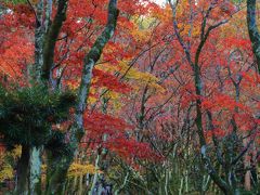 鶏足寺大門跡に到着