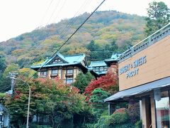 かの有名な富士屋ホテル♪
ここまで来ると、車があちこち右往左往していて、人も大勢行き交っていて・・・
さすが、金曜日でも大賑わい。
実は、明日の土曜日は、箱根の美術館でちょっと遊んでから帰ろうかと思っていたんだけれど、今日の混雑ぶりをみて、かなり怯んでしまって・・・・(笑)
明日は、箱根に寄らず、まっすぐ帰ろうって決めた。