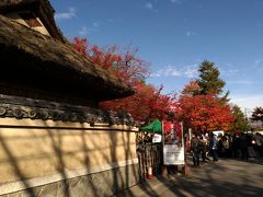 紅葉の名称、宝厳院に到着。
朝早めなので、まだ並んでいませんでした。