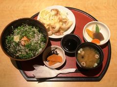 夕食は鳥取道河原インターに隣接した道の駅清流茶屋かわはらでゲソ天付き白烏賊丼１８００円を頂きました。