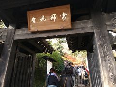 常寂光寺に到着。
ここのお寺の紅葉が好きで去年に続き来ました。