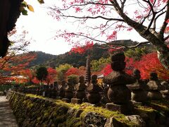 たくさんの石仏で有名なお寺。