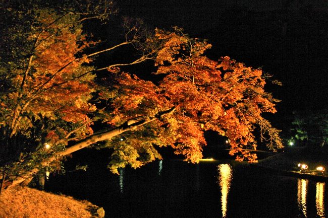 滋賀県の紅葉巡り 彦根城 玄宮園ライトアップ17年11月 彦根 滋賀県 の旅行記 ブログ By 温泉大好きさん フォートラベル 滋賀県の紅葉巡り 彦根城 玄宮園ライトアップ17年11月 彦根 滋賀県 の旅行記 ブログ By 温泉大好きさん フォートラベル