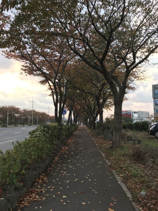 17:00にサウナを出て市街地を歩きます。<br />最後の観光です。<br />途中で美味しそうなものがあれば食べたいと思いましたが、裏路地を攻めすぎたせいかバスターミナルまで入りたいような店を見つけられませんでした。