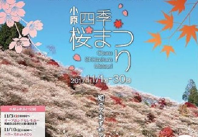 東海一の紅葉名所 香嵐渓 と 小原の四季桜 香嵐渓 白鷺温泉 笹戸温泉 愛知県 の旅行記 ブログ By Bachさん フォートラベル 東海一の紅葉名所 香嵐渓 と 小原の四季桜 香嵐渓 白鷺温泉 笹戸温泉 愛知県 の旅行記 ブログ By Bachさん フォートラベル