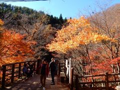 花貫渓谷では、紅葉のハイシーズンにはキャンプ場にクルマを停めて片道１ｋｍぐらい歩くことになります。

中心はこの汐見滝吊り橋。