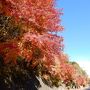 茨城県北の紅葉　～竜神大吊橋・花貫渓谷・袋田の滝～