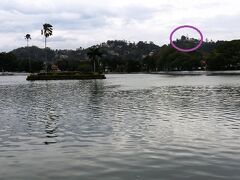 【キャンディ湖 (Kandy Lake)】

仏歯寺の隣にあるのが、こちらのキャンディ湖。19世紀初めに、キャンディ王国の最後の王、スリー・ウィクラマ・ラジャシンハが12年もかけて造った人造湖なんですって。湖に島を浮かべてハーレムをつくったとか。
んなところに作らんでも王様だったら…ねぇ…好き放題じゃないの？？
恐妻だったのかしら(笑)

ちなみに〇の所(キャンディ市内を一望できる丘の上)には、高さ27mの特大ホワイトブッダが街を見下ろしております。
奈良の大仏は約15mだっていうから、倍近くあるんだよね…。