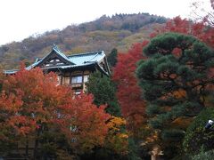 後方にそびえる浅間山（せんげんやま）の標高は802m。浅間山をイメージしたケーキもある。