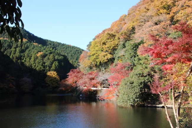 鎌北湖の紅葉 狭山 入間 埼玉県 の旅行記 ブログ By アトムさん フォートラベル