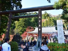 目の前には阿夫利神社の石碑と天下泰平と文字が刻まれた鳥居がありました。