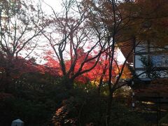 菅原道真公を祭る長岡天神も紅葉まっさかり