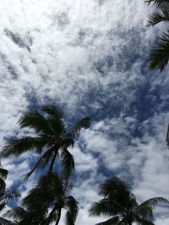 ２日目の朝です。<br />風が強～い💦<br />今日は従兄弟達が到着するので、タロさんは朝からワクワク♪です。