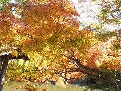 挨拶後、
八坂神社・円山公園を横断。
円山公園の池を撮影。
