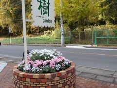 鎌倉に戻って向かうのは、ずーっと行きたかった樹ガーデン。
台風襲来、行ってみたら貸切だった、渋滞でたどりつかない等々、なかなか行けなかったの。

Cafe Terrace 樹ガーデン
http://itsuki-garden.com/