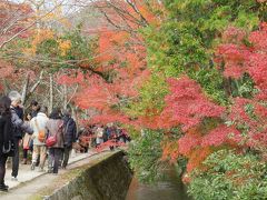 哲学の道は
桜の木が多く
桜の葉はほぼなくなっていました。
