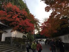 東福寺の参観受付は16時まで。
もう時間がない。
参観を終えた人とすれ違う。