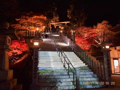 大山阿夫利神社への石段下からのライトアップ。

石段両側に赤や橙色に染まった紅葉がライトアップで浮かび上がります。