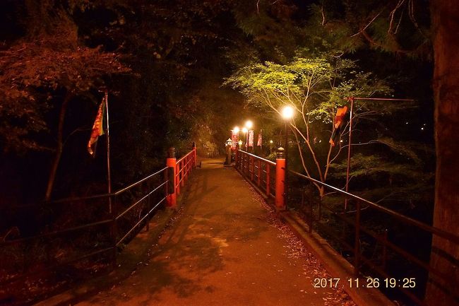 17 今年初の紅葉とライトアップを見に行く 大山寺 大山阿夫利神社下社の紅葉ライトアップ 丹沢 大山 神奈川県 の旅行記 ブログ By Jh2fxvさん フォートラベル