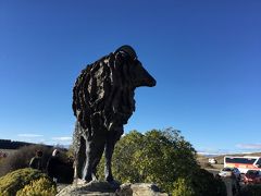 Lake Pukaki viewing pointに立つ羊の像です。
ちょっと前には隣に並ぶテカポ湖羊飼いの犬の像を見てきたばかりです。
ニュージーランドは羊の国ですね。
ここからマウントクックRdに入りプカキ湖に沿って北上し、プカキ湖の北端のアオラキマウントクック国立公園を目指します。