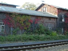 蔦もきれいに紅葉しています。
こちらは駅につながる建物ですので、鉄道関係のものかな？