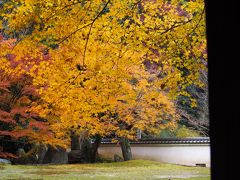 泉涌寺の塔頭の一つ善能寺の紅葉も見事


