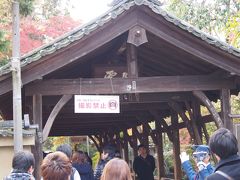 ご存知東福寺　臥雲橋
人が多くて危険なため撮影禁止。

思っていたほどha
人が多くないようです。
