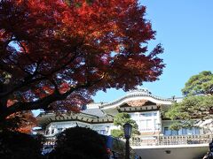今回の宿は、宮ノ下の富士屋ホテル。
朝食後の散歩。雲一つない青空が広がる。