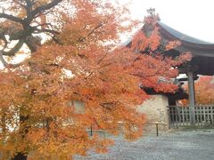 天龍寺の参道をお散歩。
もみじが見事！