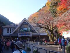 高尾登山ケーブル　清滝駅