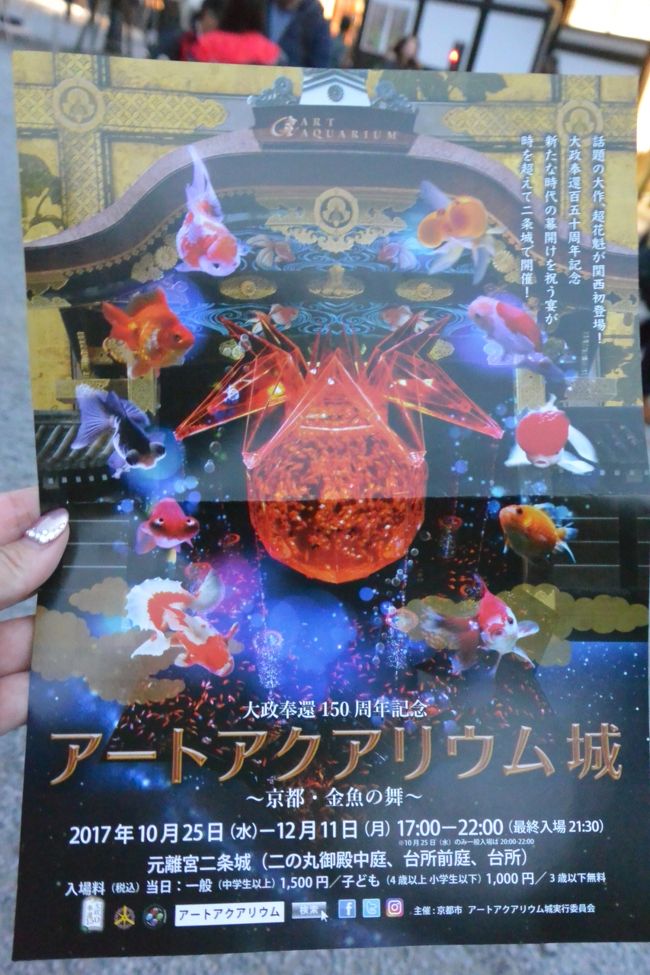 ２０１７年１１月 ロンドンタクシーで巡るインスタ映え京都 アートアクアリウム城 鑑賞 二条 烏丸 河原町 京都 の旅行記 ブログ By ひとぴちゃんさん フォートラベル