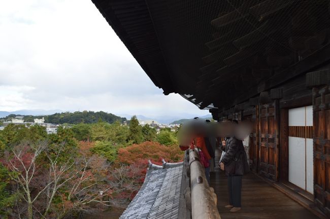金戒光明寺ー銀閣寺ー哲学の道ー法然院ー南禅寺ー水路閣ー平安神宮をぶらりと散策