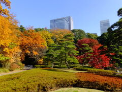 二の丸庭園の紅葉を眺めます。