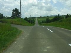 この道はジェットコースターの路と名付けられています。2.5kmも直線道路が続いています。アップダウンの激しいので、飛行機の代替滑走路にはなりそうもありません。

わかりにくいところにあるのですが、国道237号線沿いの「西11線農免農道」という標識を目印に 曲がります。
ふらの八景の立て札もきちんと出ています。