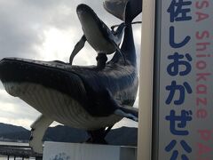 イルカやニタリクジラが見れるらしい
 宇佐ホエールウォッチング協会（宇佐しおかぜ公園内）
高知県土佐市宇佐町橋田浜２７５２－７
