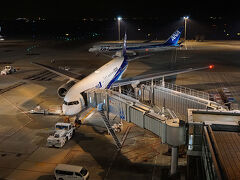 ●第二ターミナル展望デッキ＠羽田空港

今から乗るわけではないのに、羽田空港のデッキにいるなんて不思議な感覚(笑)。
やっぱりデカいな羽田！
