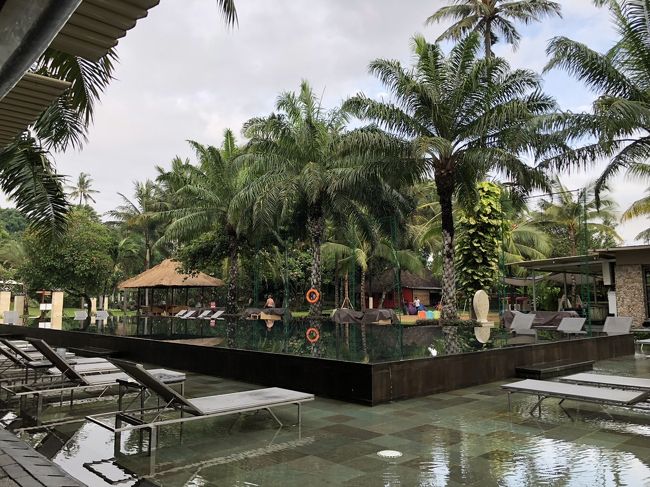 朝食食べながらのプールビューです