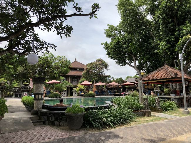 「Besakih Beach Hotel」のプールは特徴的な形。