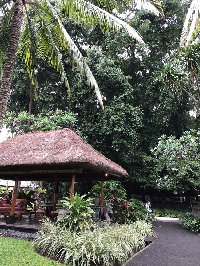 セガラに帰ってきてお部屋でゴロゴロ～<br /><br />そして今度は、まだセガラの行ってないところを探検。