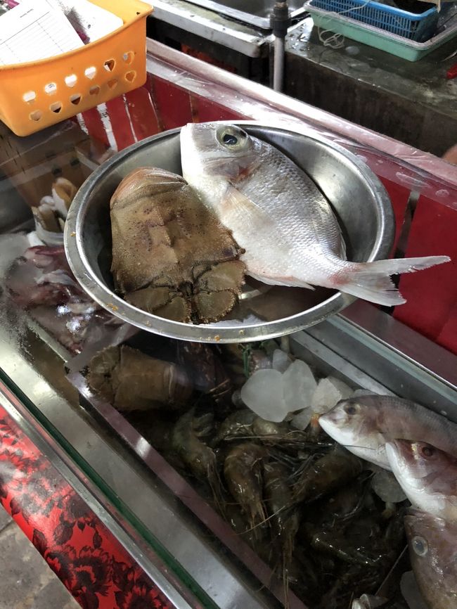 ショーケースの中から好きな魚介類を選びます。<br />別水槽にはロブスターももちろんあります。<br /><br />え～っと何がいいかなあと目移りした途端、主人がセミエビを発見して<br />「あっ！セミエビだっ！！これは絶対。これとー・・・・」<br />ということでセミエビは決定<br />魚も食べたかったので、とりあえず１尾。<br />