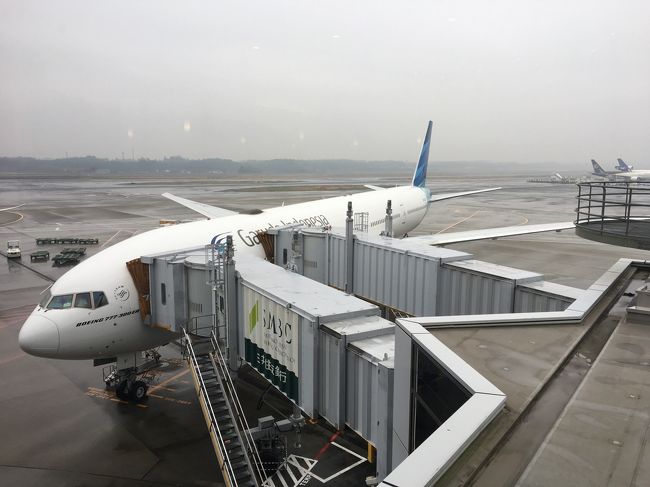 日本上空は雨模様だったため、着陸準備に入ってからはかなり揺れてジェットコースター気分を味わえました。<br /><br />久しぶりの夫婦旅行、仕事からも家事・育児からも解放され、サヌールオンリーでゆっくりと寛げました。<br /><br />また来年の夏の子連れ渡バリに向けて、楽しく準備を進めています♪<br /><br />CoCoMamの旅行記を見てくださって、ありがとうございました(^-^*)/