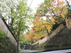 奥湯河原はちょうど紅葉祭りが開催されていたようで、赤味がかった紅葉を見ながらのドライブは、