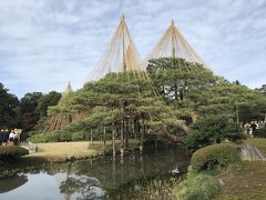 金沢駅からバスで兼六園下へ。桂坂を登って兼六園に到着。11月に入り、「雪吊り」の作業がすでに始まっている。
