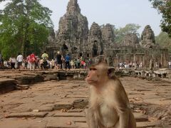 初カンボジアで治安が不安な小心者なので、ほぼツアーで行動しました。

南大門を通って、まずアンコールトムへ。

バイヨンの正面より撮影。
人慣れしたお猿さんがいっぱいいます。