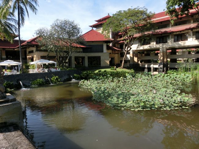 中庭の池です。