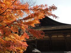 湖南三山　善水寺　本堂裏の紅葉