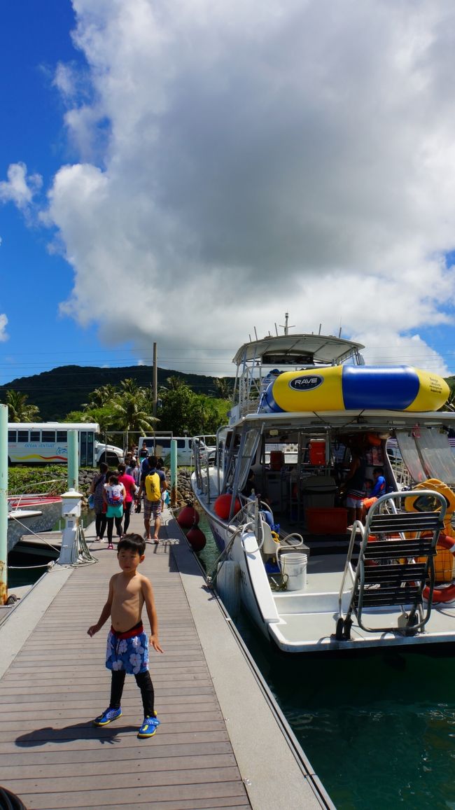 イルカウォッチングツアーへ