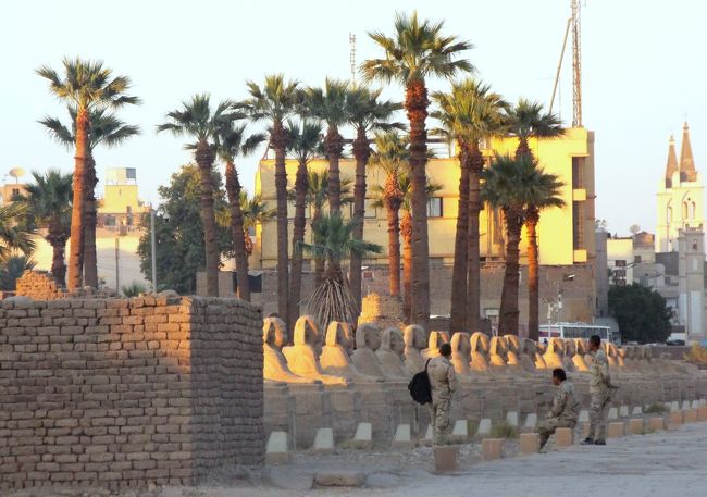 　ルクソール神殿前のスフィンクス参道。カルナック神殿へ伸びています。