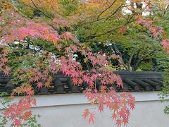紅葉が見たくなって、小石川後楽園へ行きました。